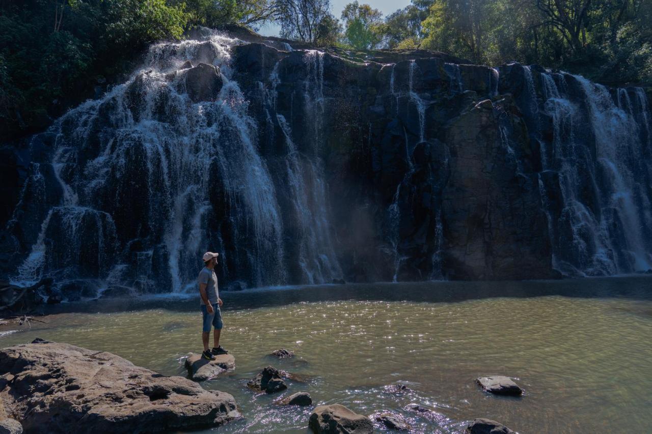Reserva Natural Iguazu - Pristine Luxury Camp Puerto Libertad المظهر الخارجي الصورة