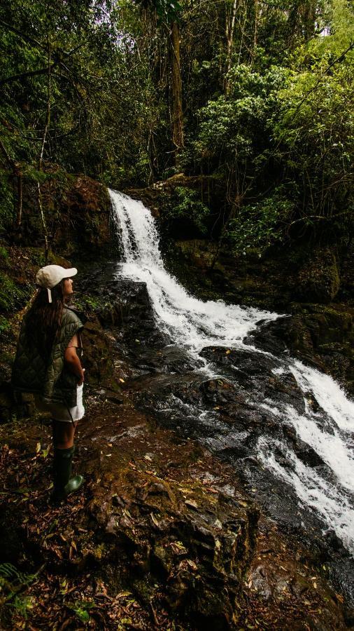 Reserva Natural Iguazu - Pristine Luxury Camp Puerto Libertad المظهر الخارجي الصورة