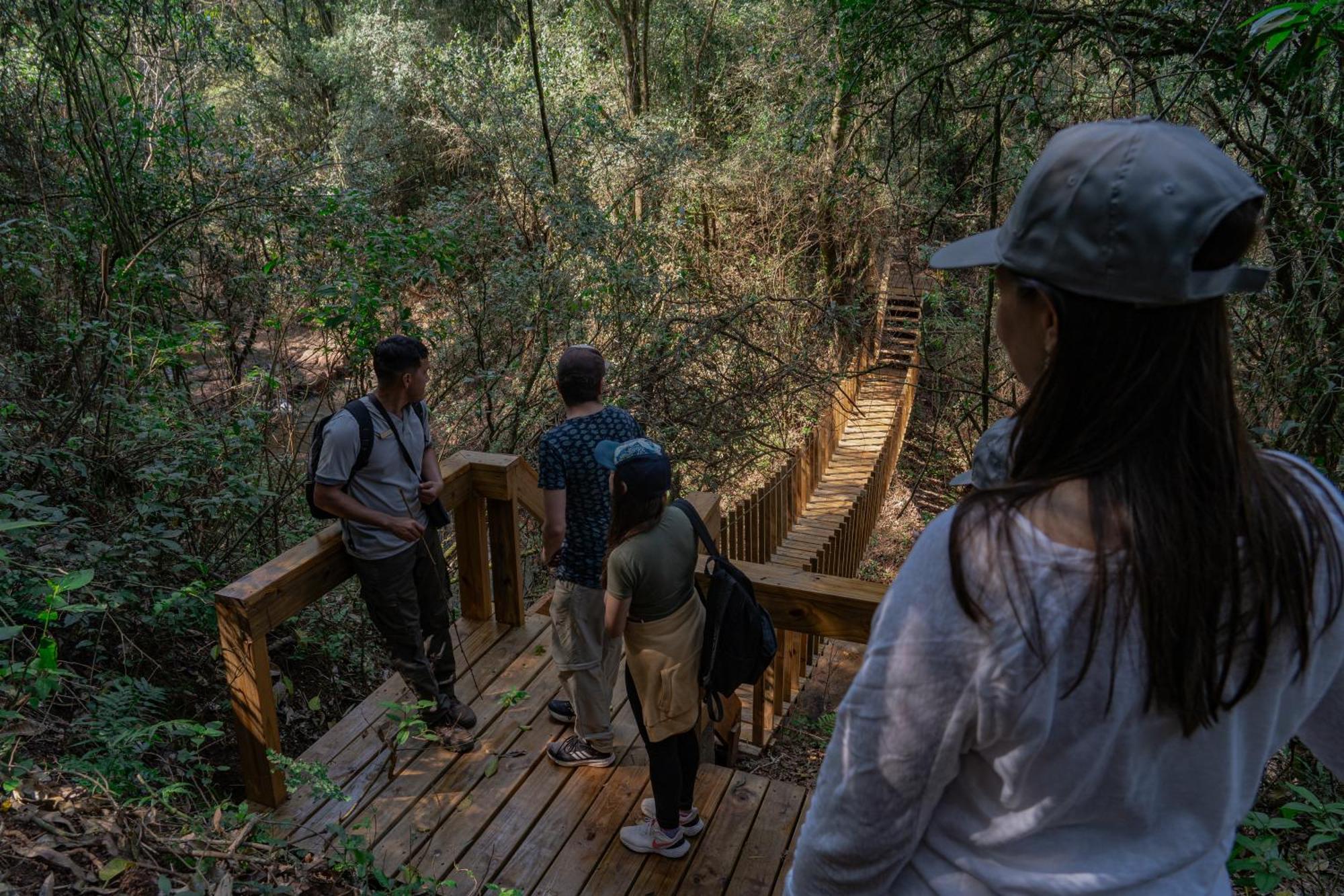 Reserva Natural Iguazu - Pristine Luxury Camp Puerto Libertad المظهر الخارجي الصورة